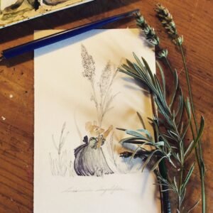 Articolo di natale 1